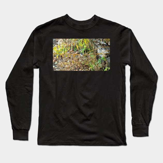 Black-capped Chickadee Looking Around Long Sleeve T-Shirt by BackyardBirder